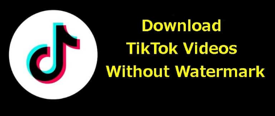 How To Easily Download TikTok Videos Without Watermark